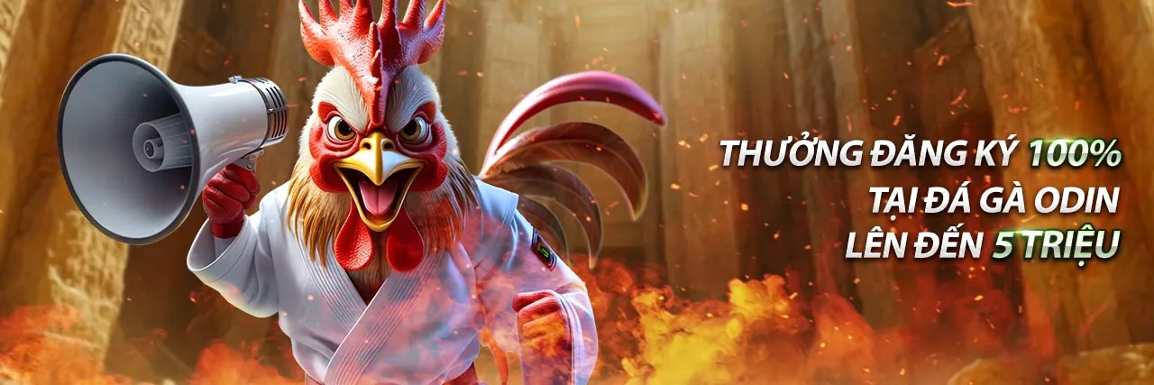 Sân vận động với trận đấu bóng đá đang diễn ra, biểu tượng cá cược thể thao WE88